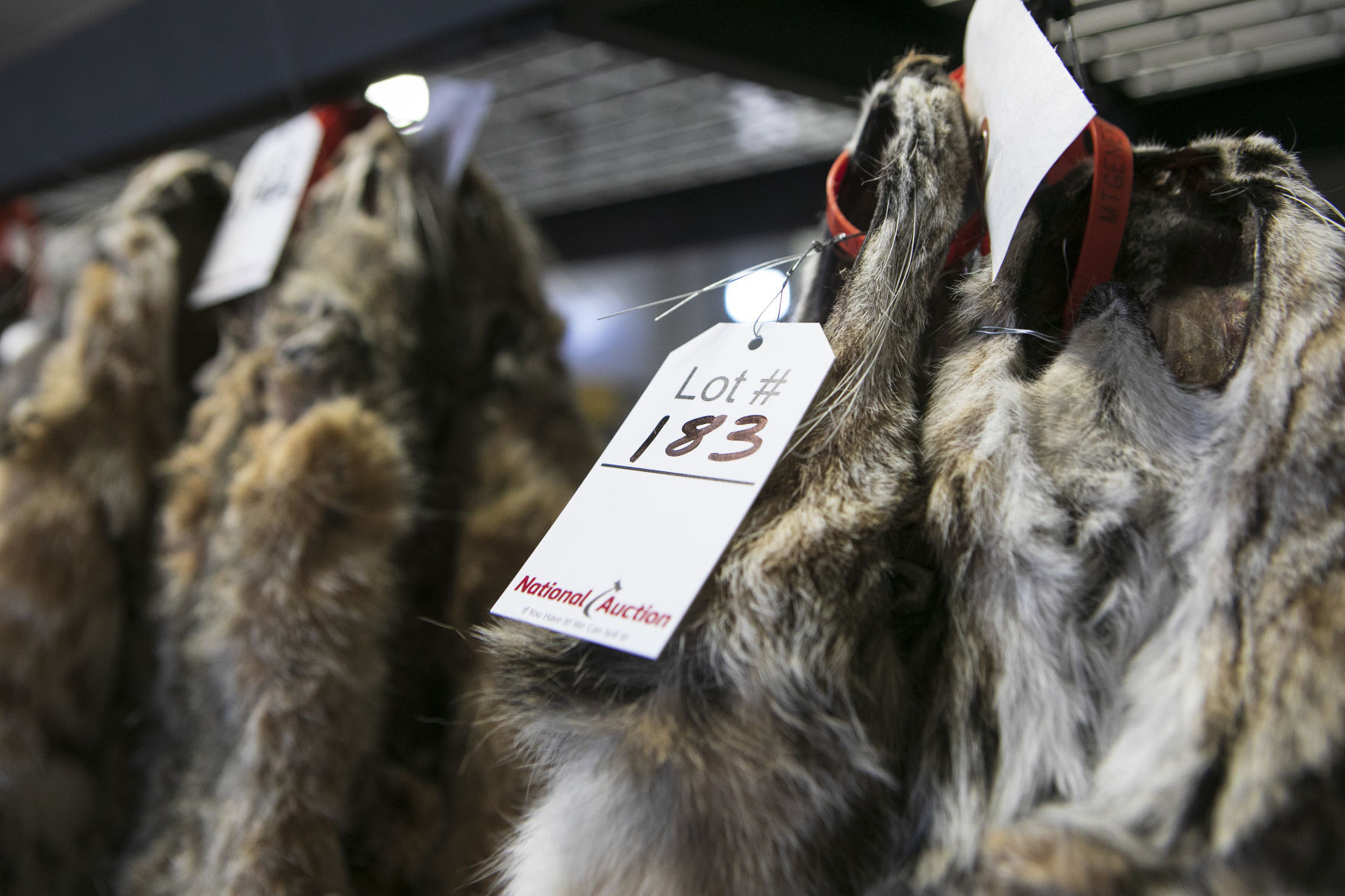 Pelts